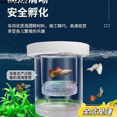 産房隔離箱：防吞魚、魚苗保護，透氣繁殖盒，多功能孵化網，適用於小魚生產及魚缸隔離, 小號懸浮款四組, 1個