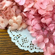 VITO zakka 木繡球永生花DIY乾燥花植物浮游花材花藝材料包拍攝道具DIY創作花材20g, 柔粉色漸變(現貨)