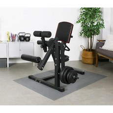 레그익스텐션 다리 운동 근력 레그컬 가정용, 레그 트레이너 + 40kg 웨이트, 1개