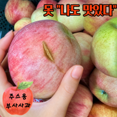 [새콤달콤] 못난이 사과 고당도 산지직송 국내산 부사사과 초특가, 1박스, 2kg (꼬마, 주스용)