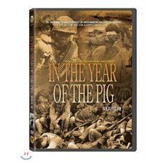 [DVD] 돼지의 해