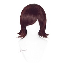 Probeauty 15 Inch/37 cm Short Dark Purple Cosplay Wig Spiky Fluffy Layered Wigs for Men Women Hall