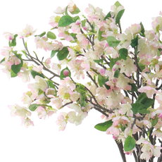 다우에프앤지 조화 플럼 가지 3p, 플럼가지 피치, 3개