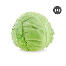 [초록한입] 국내산 유기농 양배추 (건강즙증정 전남무안), 2kg, 2개
