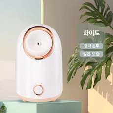 올원픽 얼굴스팀기 페이셜 스팀기 케어 페이스 안면, 902 화이트, 기본 모델명/품번