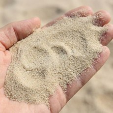 고운바다모래 1kg 세척모래 DIY 재료 다양도 활용 교재 교구