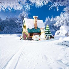 스튜디오배경지 유튜브 설산 설경 촬영 프레임, 2x1.5m, 1개, 레드