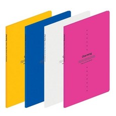 드림 A4 챠밍화일10p 슬림 클리어화일 부드러운연질PP, 흰색
