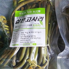 지리산하동 국산 삶은고사리 데친고사리 150g, 5개