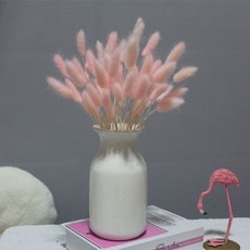 天然乾燥兔尾草粉色花束，客廳裝飾壓花DIY材料，網紅輕奢風擺件拍攝道具, 粉色一紮約55支不帶花瓶