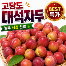 [농부선별] 햇 노지 대석자두 고당도 제철자두, 1박스, 3kg