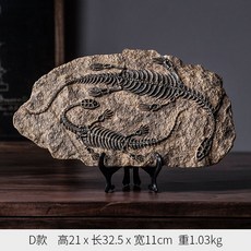 화석 장식품 사무실 학교 실험실 티라노사우르스 예술 취미 돌 공룡 표본 34CM, 섹션 D