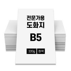 전문가용 도화지 220g 100매 흰색 B5
