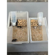 쥐 사육장 케이지 실험용 햄스터 번식 키우기, D2 스냅 버클 250ml 물병 포함