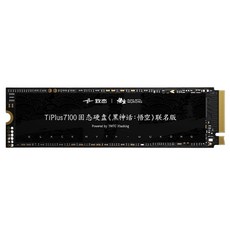 즈타이 티플러스 7100 조인트 에디션 NVMe M.2 SSD, 1TB 1TB