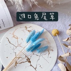 萬花。瞳 西班牙進口馬卡龍色系不凋兔尾草乾燥花材, 一份8 枝, 天空藍