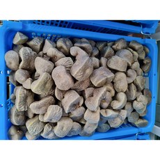 2025년 햇 하늘마 열매마 종자용 1~10kg 넝쿨마 우주마, 하늘마/열매마 1kg(종자용), 1