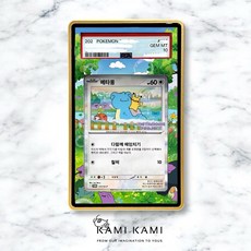 韓國百變怪Psa/BGS擴散式卡殼 鑑定卡專用 Psa bgs cgc 韓國百變怪 百變怪, 1個, Psa,殼要銀色