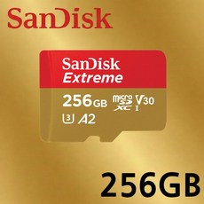 샌디스크 microSD Class10 Extreme UHS-I U3 V30 4K 마이크로SD카드, 256GB, 1개