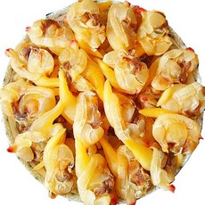 비기온 조개살 개량 건조개살, 1개, 500g