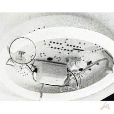 스타트 전구_5167, 단일속성, 1
