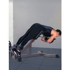 백익스텐션 헬스 기구 웨이트 운동 기립근 복근 옆구리 코어 강화, A