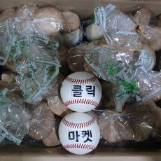 클릭마켓 국내산 새송이 새송이버섯 4kg
