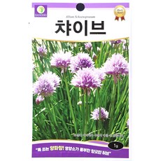 챠이브 1g 다농 26년 허브씨앗