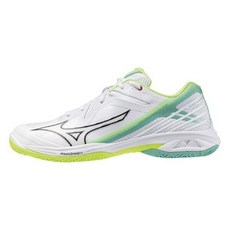 Mizuno Wave Claw 3 羽球鞋 寬楦 室內運動 美津濃 71GA244322