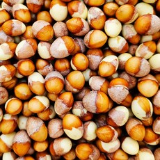 깐깐파파 무농약 인증 국내산 토종 햇 은행 국산 깐은행 (중), 1kg, 1개