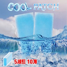 [파인스토리]아이스 쿨패치 붙이는 냉각 시트 시원한 냉찜질 쿨팩 냉감패드, 5세트