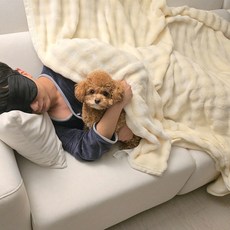 앙듀 프리미엄 래빗터치 극세사 담요