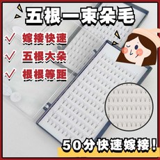 山茶花柔軟 五根精緻朵毛, 1盒