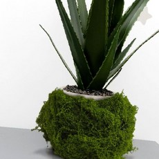 화분 장식 인테리어 소품 질감 이끼 소재 조경 꾸미기 식물 화분 덮개 장식재, 1개
