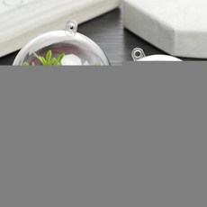 EA 투명 원형 플라스틱볼 다용도용기 11cm 1P, 1개, 1개, 투명공 원-11cm