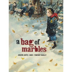 [원서] 페이퍼백 도서 구슬 한 자루: 그래픽 노블 paperback Book A Bag of Marbles: The Graphic Novel