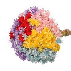 로맨틱노벰버 프리저브드 스타플라워, 믹스 150송이