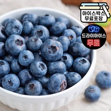 에이치에이유통 글로벌 블루베리 1kg 세척 프리미엄 냉동과일 수입과일 스무디 대용량, 1개