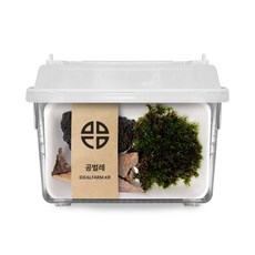 공벌레 관찰 키트 kdy*0380Xr, 상세페이지 참조