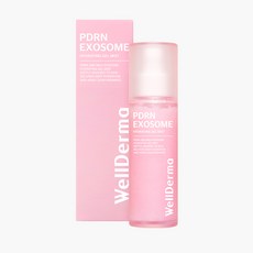 웰더마 PDRN 엑소좀 하이드레이팅 겔 미스트, 2개, 100ml