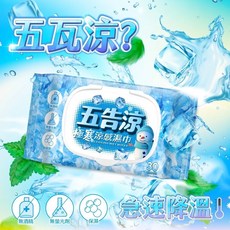奈森克林 五告涼 極寒涼感濕巾 30抽 附蓋 薄荷清涼, 1個