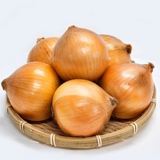 국내산 울팜 아삭 달달 단단한 창녕 양파, 1개, 양파(중) 1kg