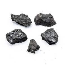 20mm 이상 5개입 석탄 표본 광물 특성 실험 관찰 수업 결정 어린이 체험 학생 방과후 구성