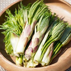 [한정특가] 당일수확 산지직송 개두릅 엄나무순, 1박스, 300g