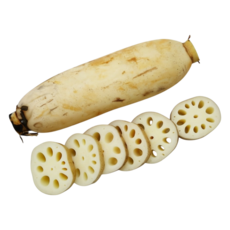 [산지직송] 유기농 흙연근 파지연근 신선수확 직송, 1개, 유기농 파지연근 1kg