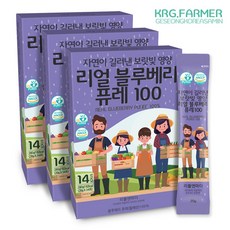 리틀앤마더 리얼 블루베리 퓨레 20g 14포, 42개