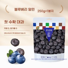 씨플 말린블루베리 500g 대입자 블루베리 건과일 동북 원맛 블루베리 베이킹용 간식, 블루베리 건조[250g*1백]