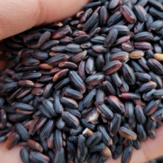 영원농산 25년산 국산 찰흑미 찰진흑미 흑미밥 까만쌀 검정쌀 흑미쌀, 2kg