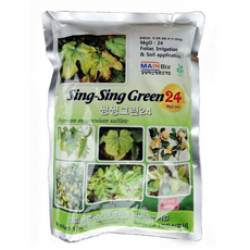 고순도 NMN 24000mg 60일분, 1개