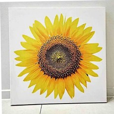 해바라기사진 돈 들어오는 해바라기 큰 꽃송이 액자 해바라기그림 79000EA 1EA, 본상품